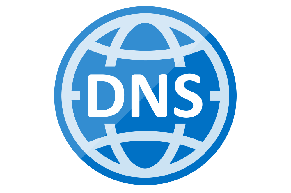 DNS globe image