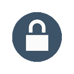 icon security logo